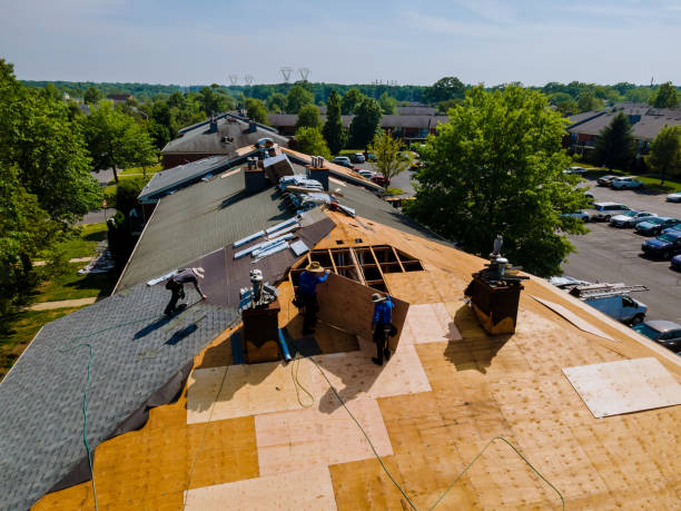 Best Roof Gutter Cleaning  in South Boston, VA