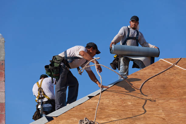 Best Roof Leak Repair  in South Boston, VA